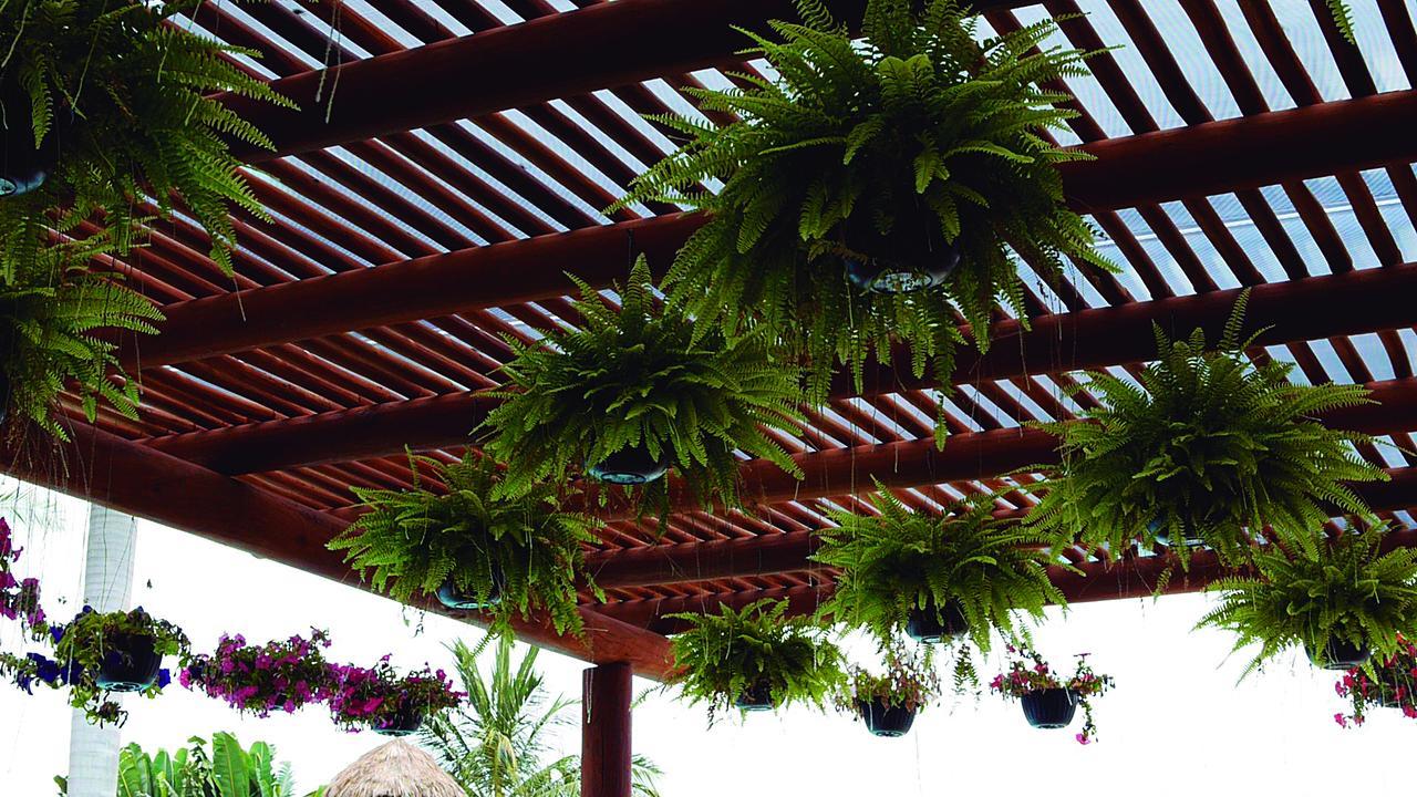 Cabanas Del Capitan Rincon de Guayabitos Εξωτερικό φωτογραφία